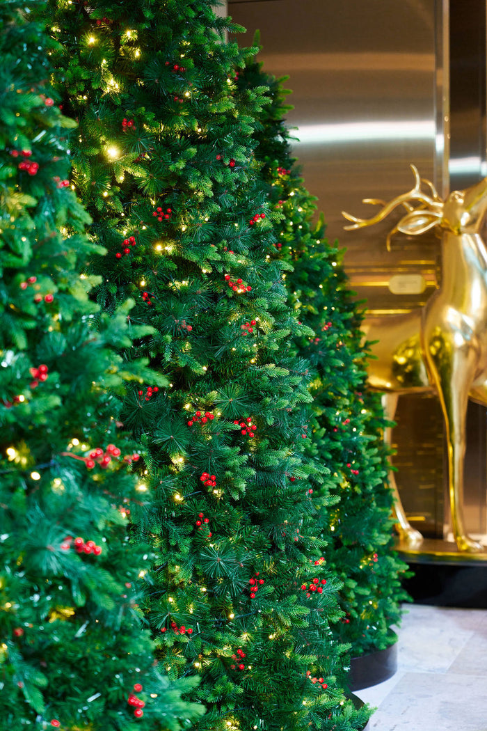 Christmas Trees