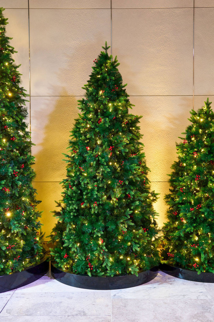 Christmas Trees