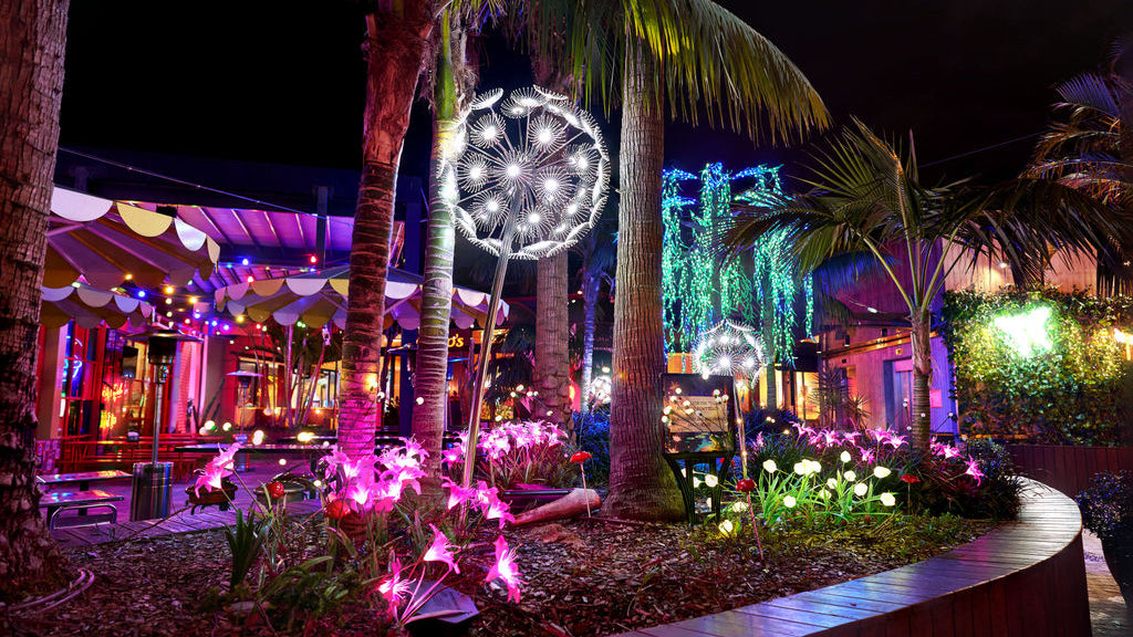 Westfield Miranda Festival of Lights 2025. A garden with LED illuminated flowers, tulips, giant daffodil. mushrooms, creatures and insects, fireflies, lady bugs, butterflies and dragonflies 