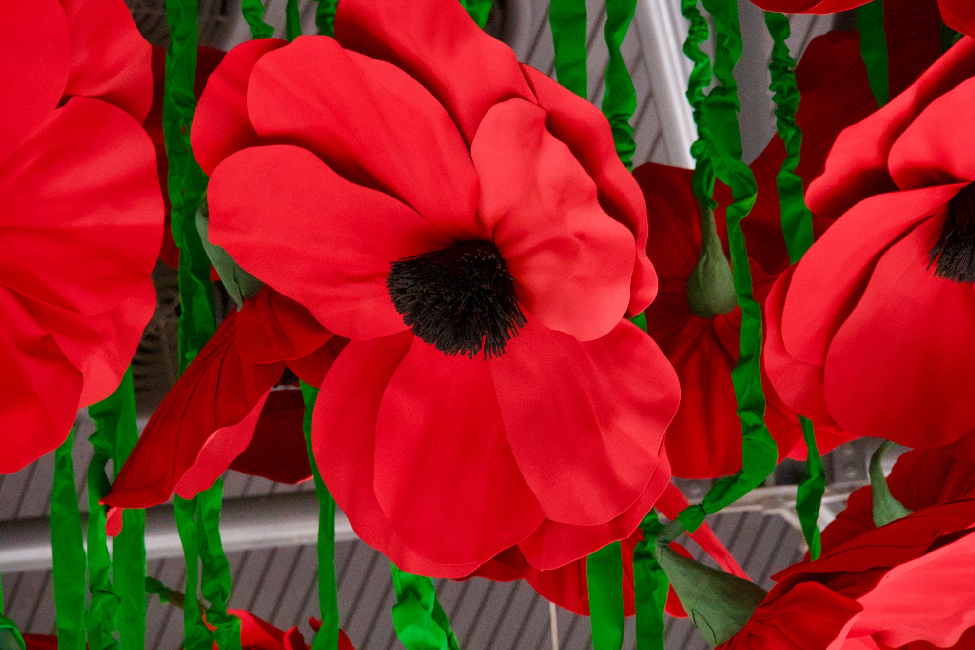 Large red poppy flowers displayed in a shopping centre. The flowers are hanging from the ceiling with green stems and black buds